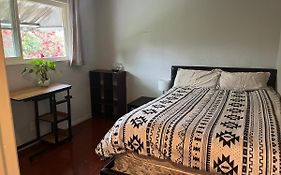 Great Value Peaceful Room In La